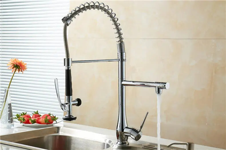 Riviera Tall Pull-Out Kitchen Faucet