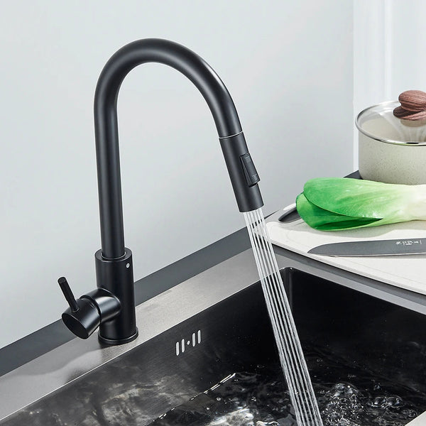 Riviera Noir Dual-Function Pull-Out Kitchen Faucet