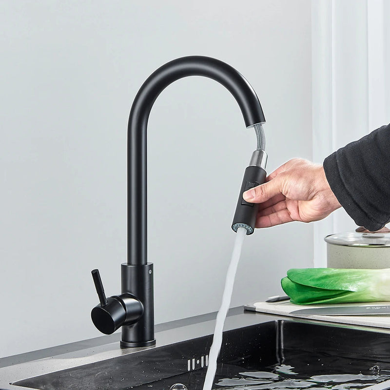 Riviera Noir Dual-Function Pull-Out Kitchen Faucet