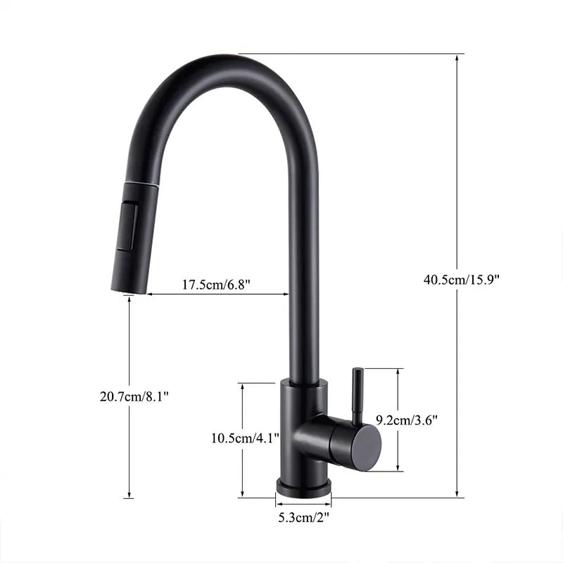 Riviera Noir Dual-Function Pull-Out Kitchen Faucet